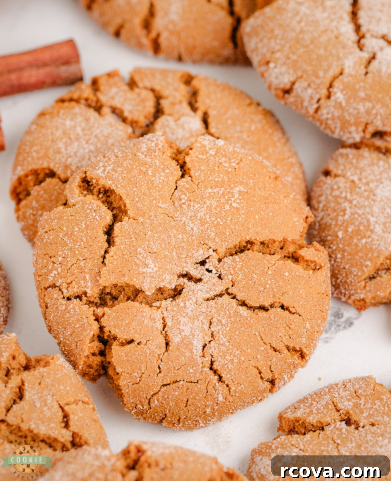 Disney Inspired Molasses Crinkle Cookies 1 featured 40142