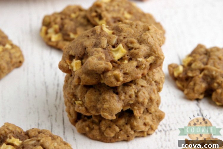 Autumn Spiced Apple Pumpkin Oat Cookies 1 featured 4027