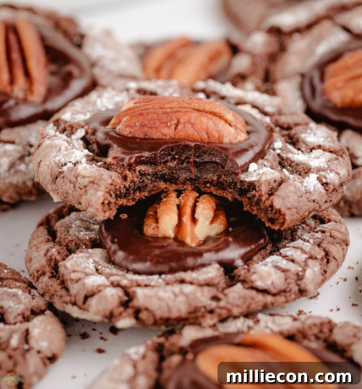 Fudgy Chocolate Pecan Crinkle Cookies 1 featured 41417