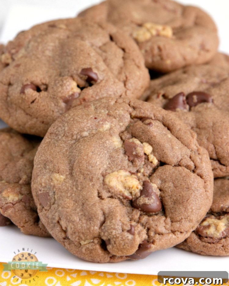 Reese's Peanut Butter Chocolate Cookies 1 featured 4293