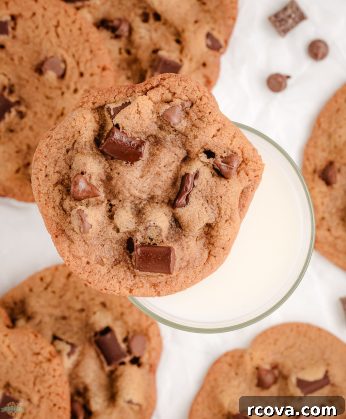 Signature Malted Chocolate Chip Cookies 1 featured 46160