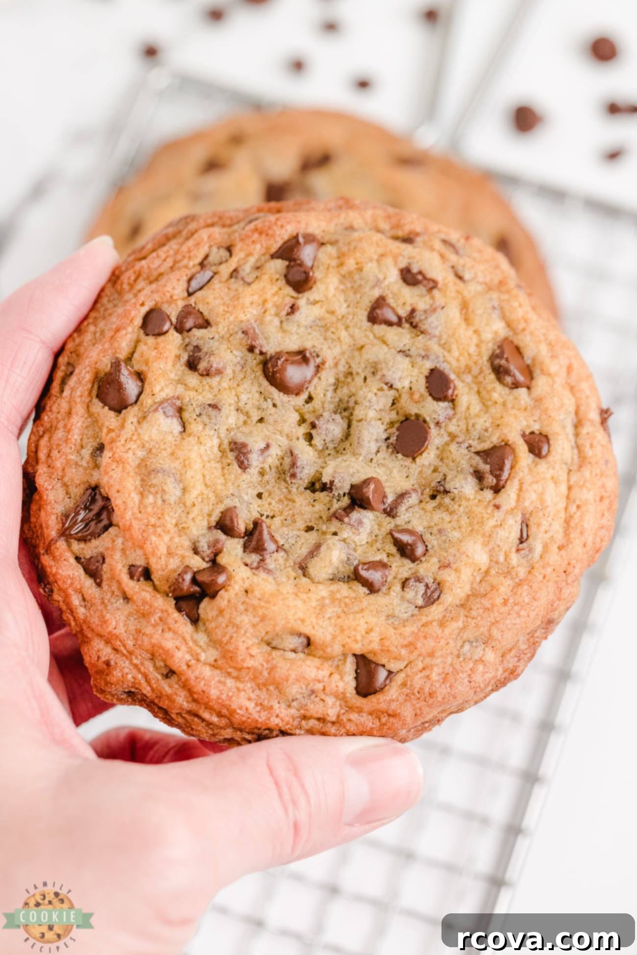 Giant Chocolate Chip Cookies 1 featured 4658