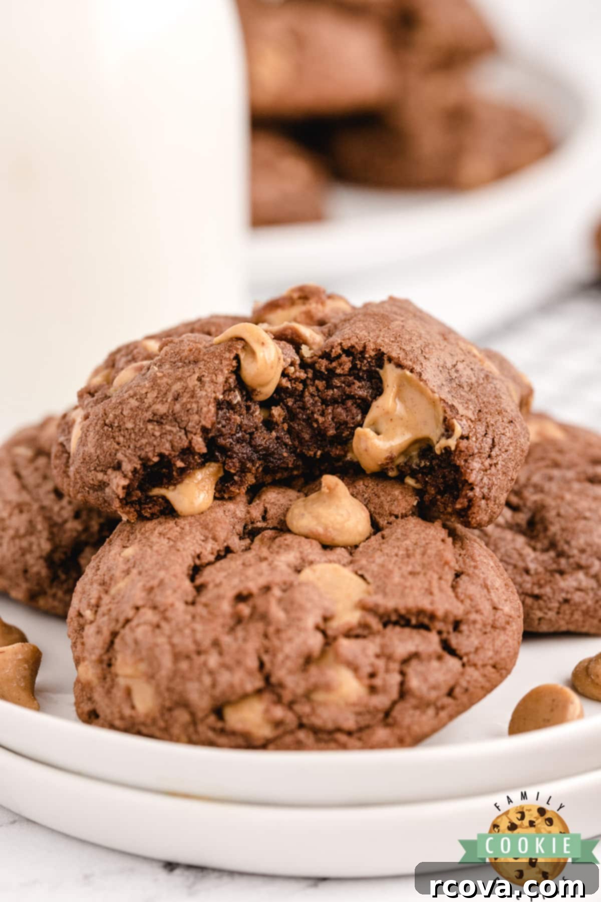Ultimate Chocolate Peanut Butter Chip Cookies 1 featured 488 1