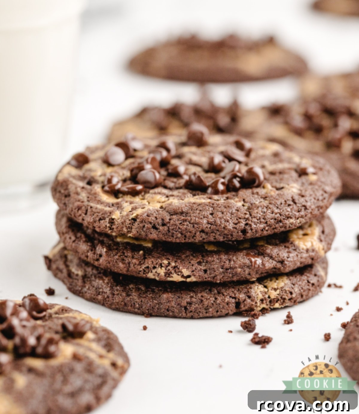 Irresistible Chocolate Peanut Butter Swirl Cookies 1 featured 48880
