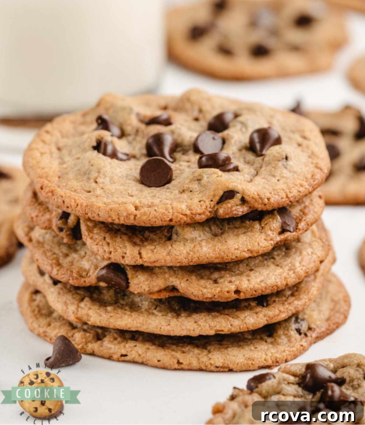 Flourless Peanut Butter & Chocolate Chip Wonders 1 featured 52302