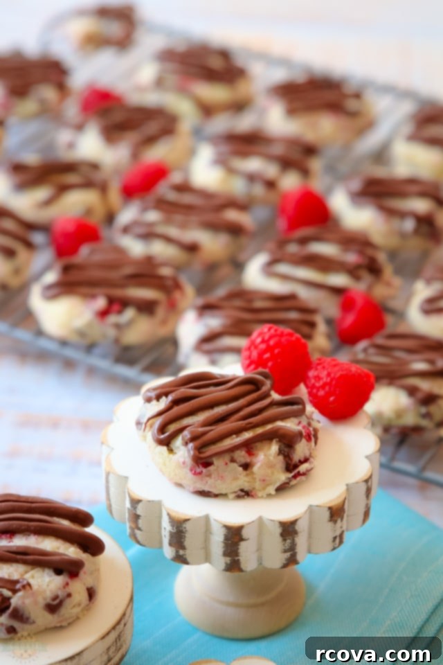 Raspberry Kissed Chocolate Cheesecake Bites 1 featured 5323