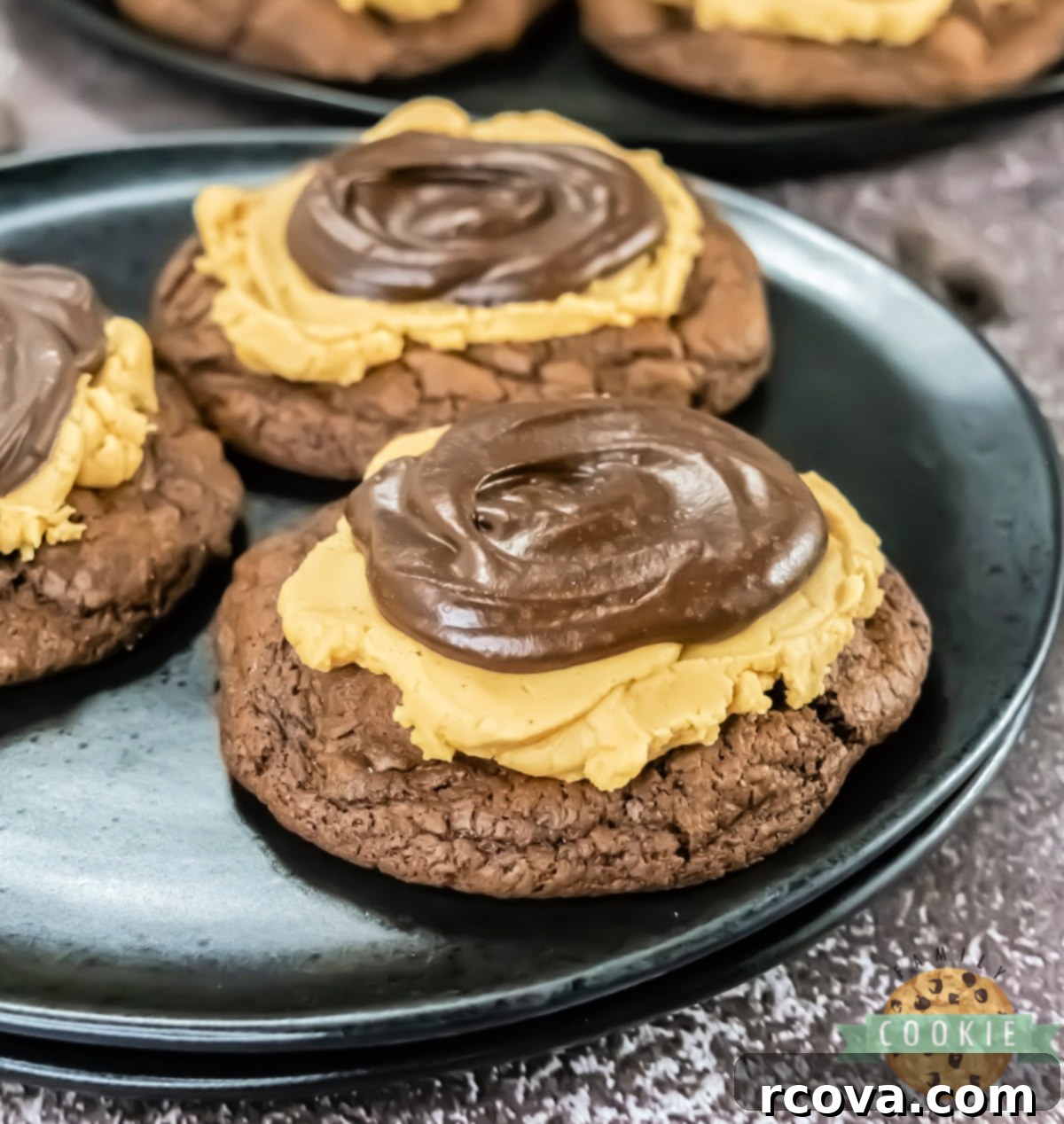 Peanut Butter Fudge Brownie Cookies 1 featured 58381