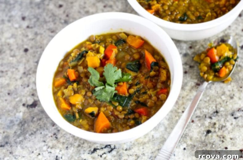 Comforting Vegan Curried Butternut Squash and Lentil Soup 1 featured 5962