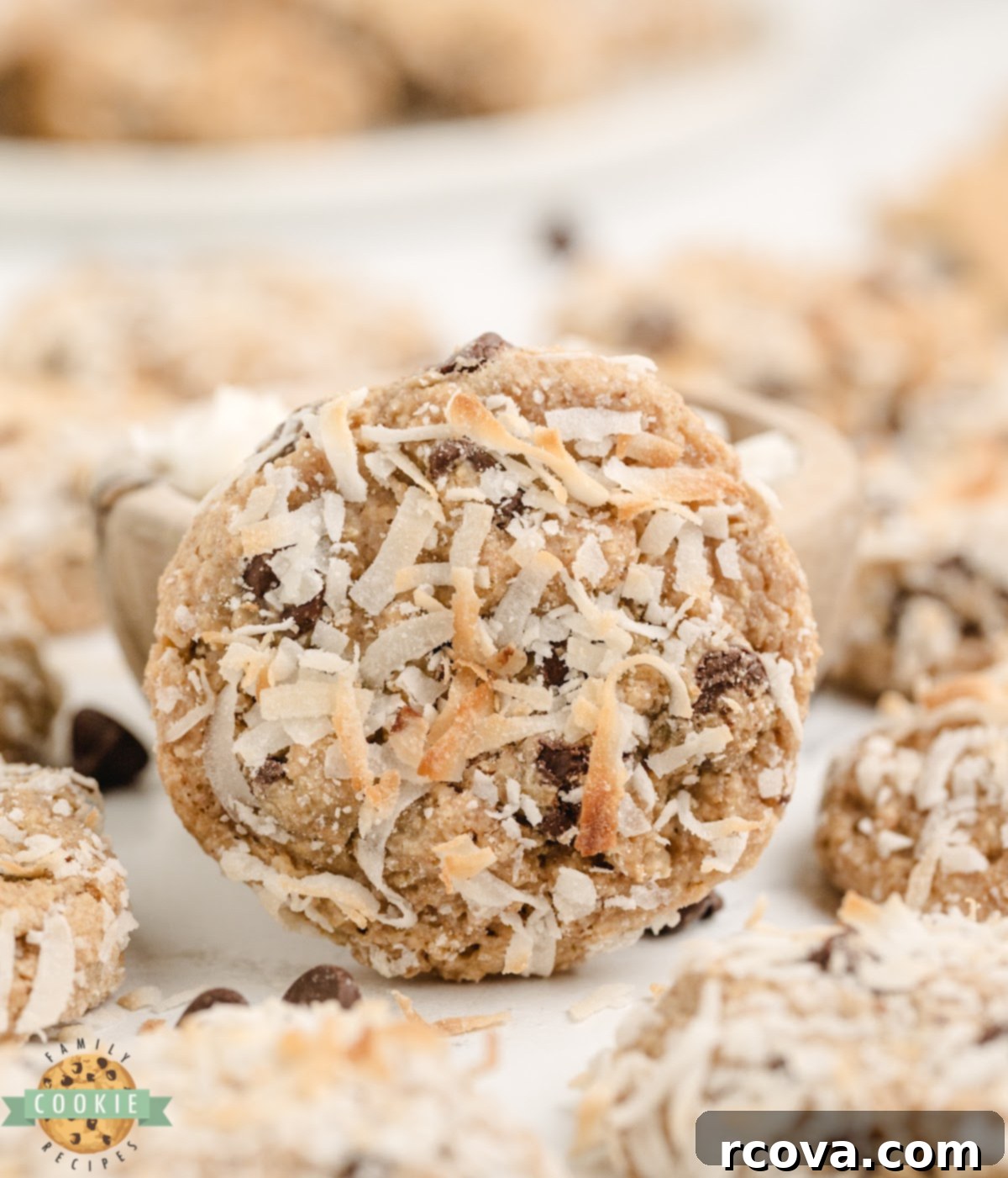 Tropical Graham Coconut Delights 1 featured 60496