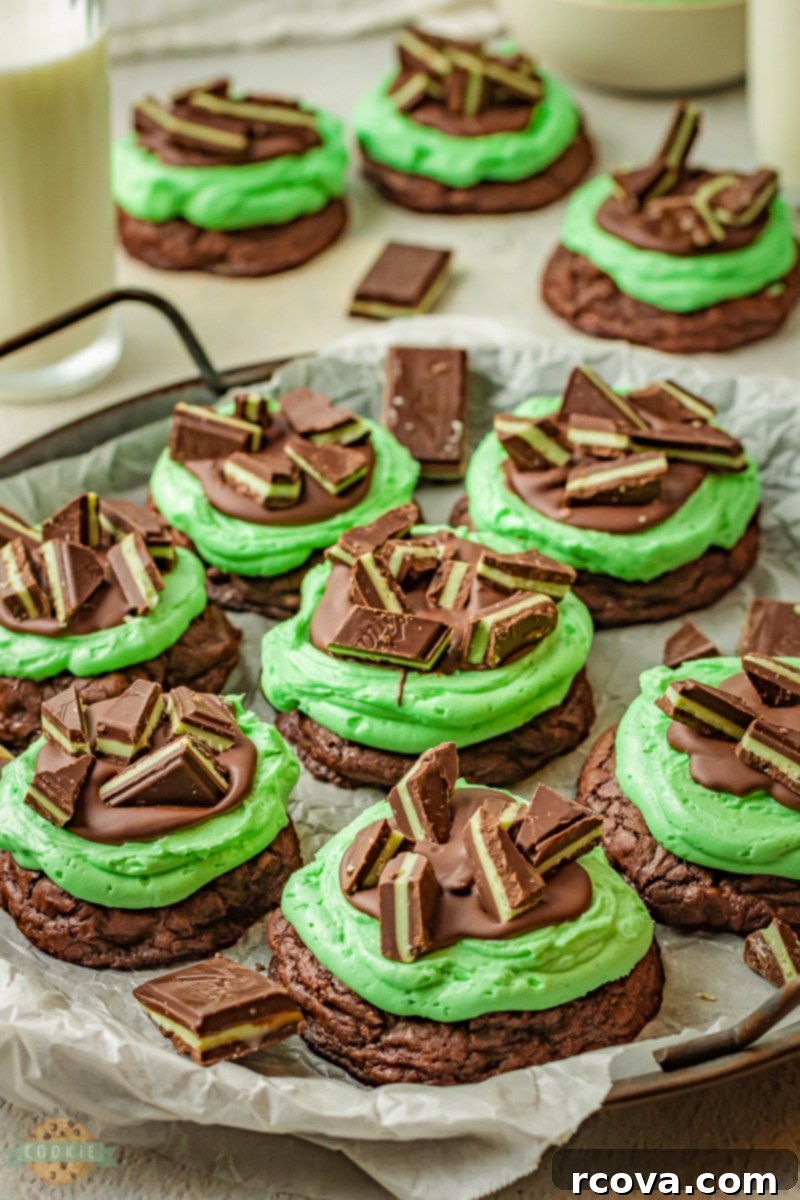 Grasshopper Delights 1 featured 6145