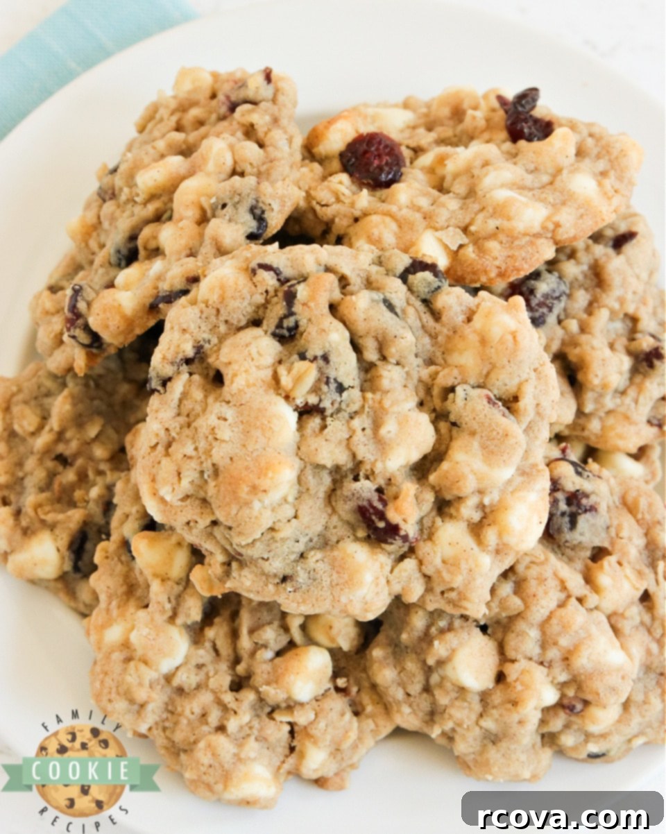 Blissful Berry White Chocolate Oat Cookies 1 featured 6371