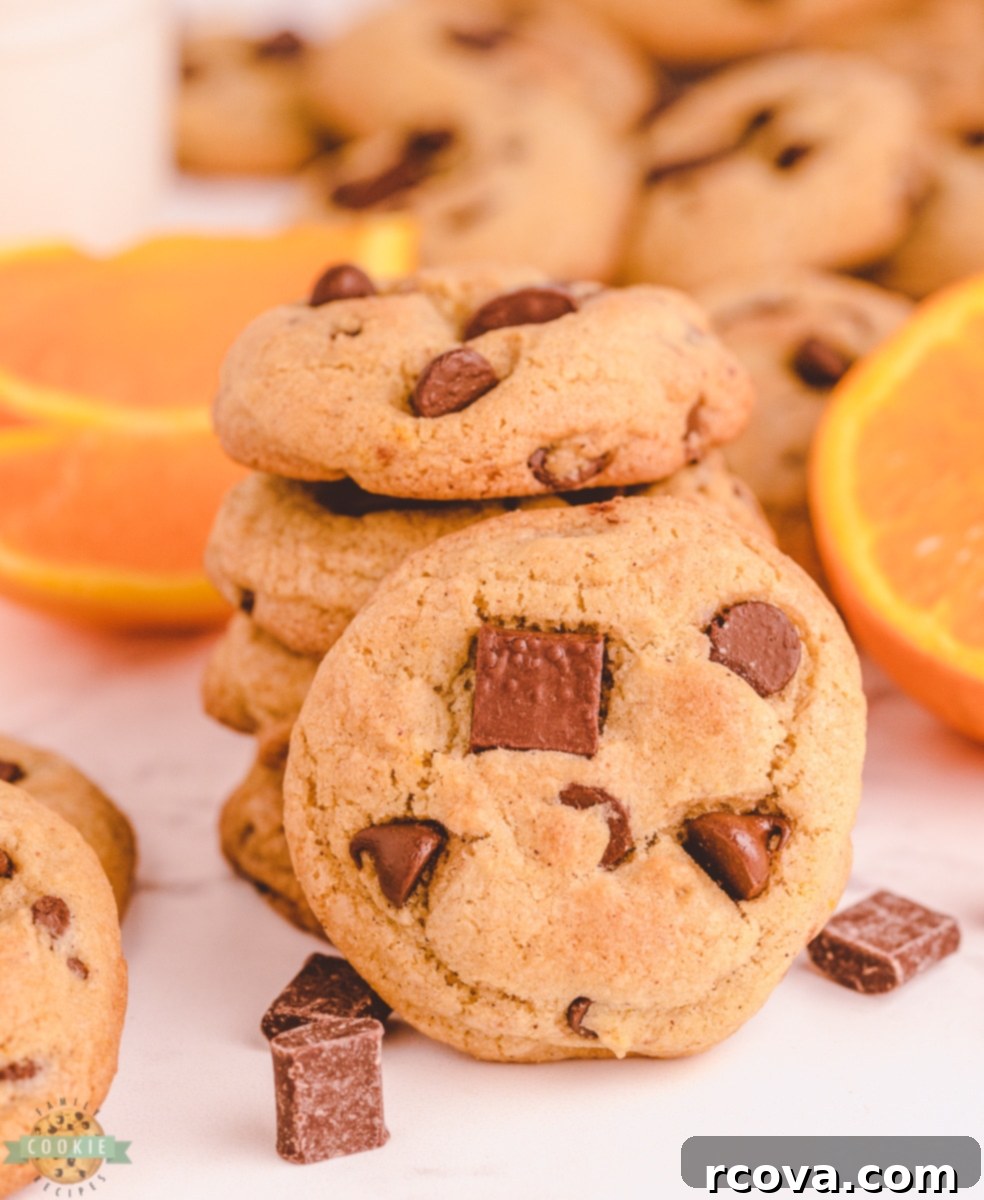 Spiced Citrus Chocolate Chip Cookies 1 featured 6720