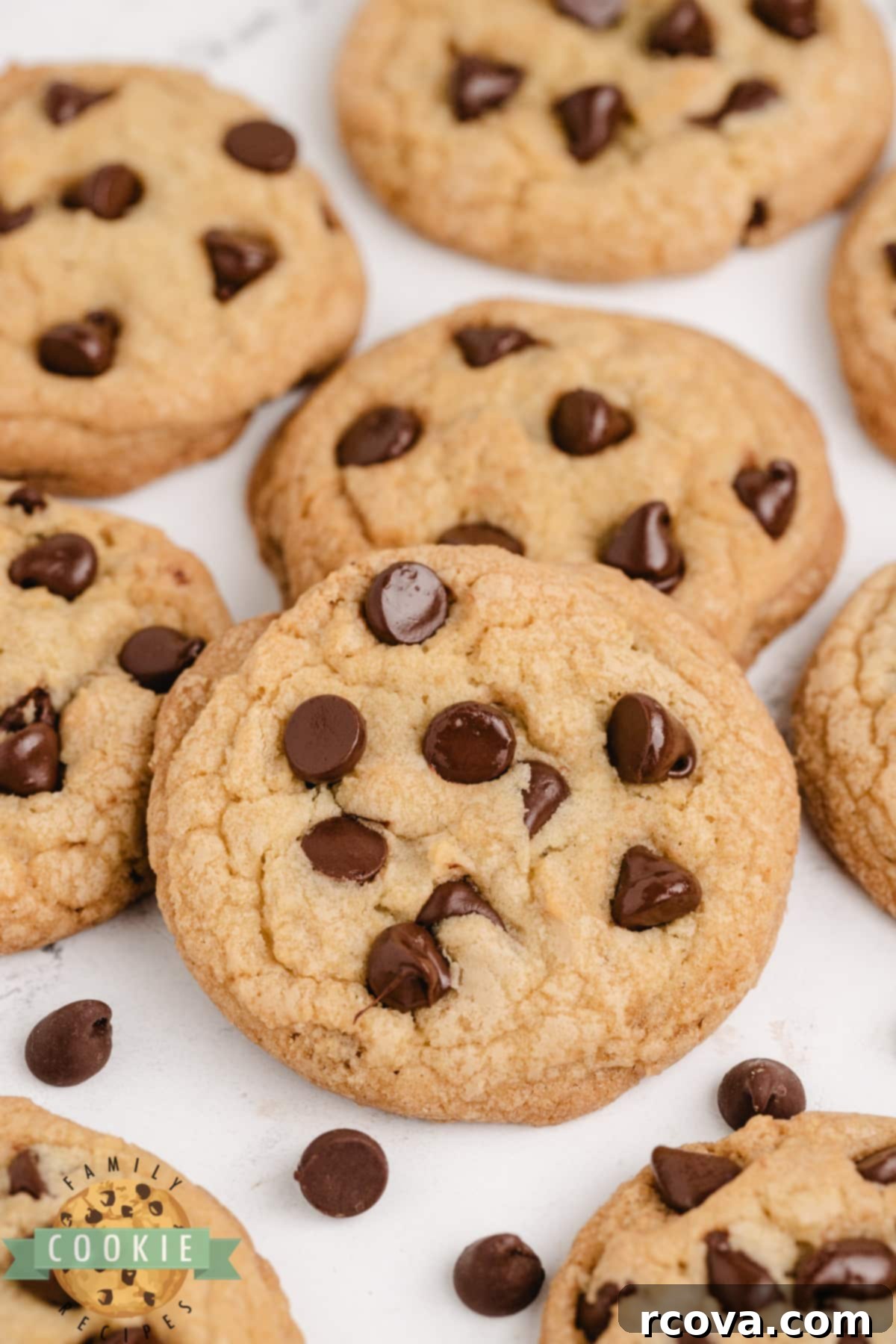 Decadent Chocolate Chip Delight 1 featured 674