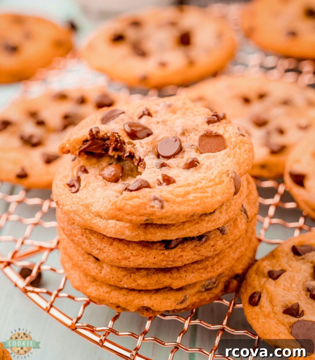 Irresistibly Chewy Chocolate Chip Cookies 1 featured 6774