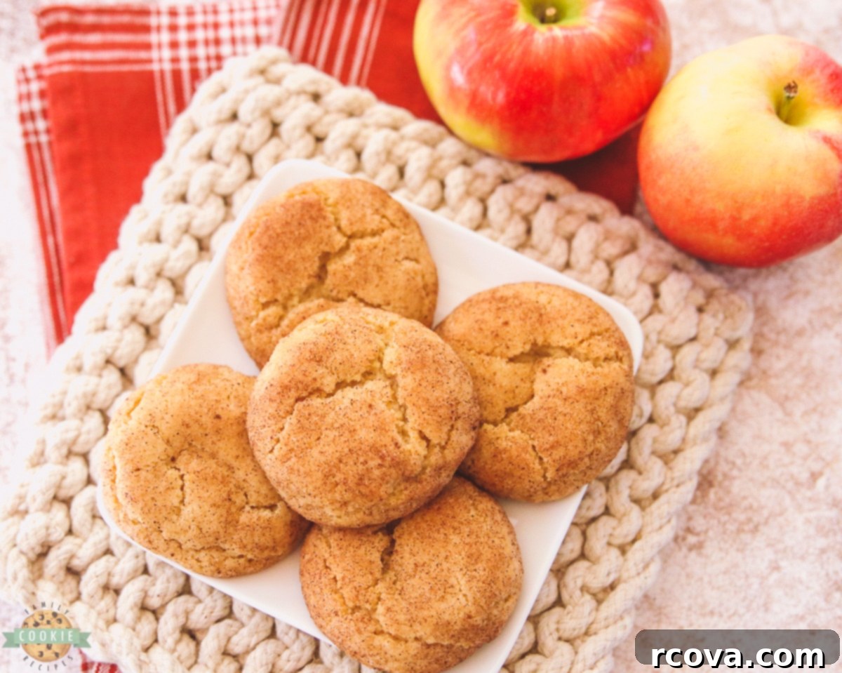 Spiced Apple Cider Snickerdoodles 43 featured 6944