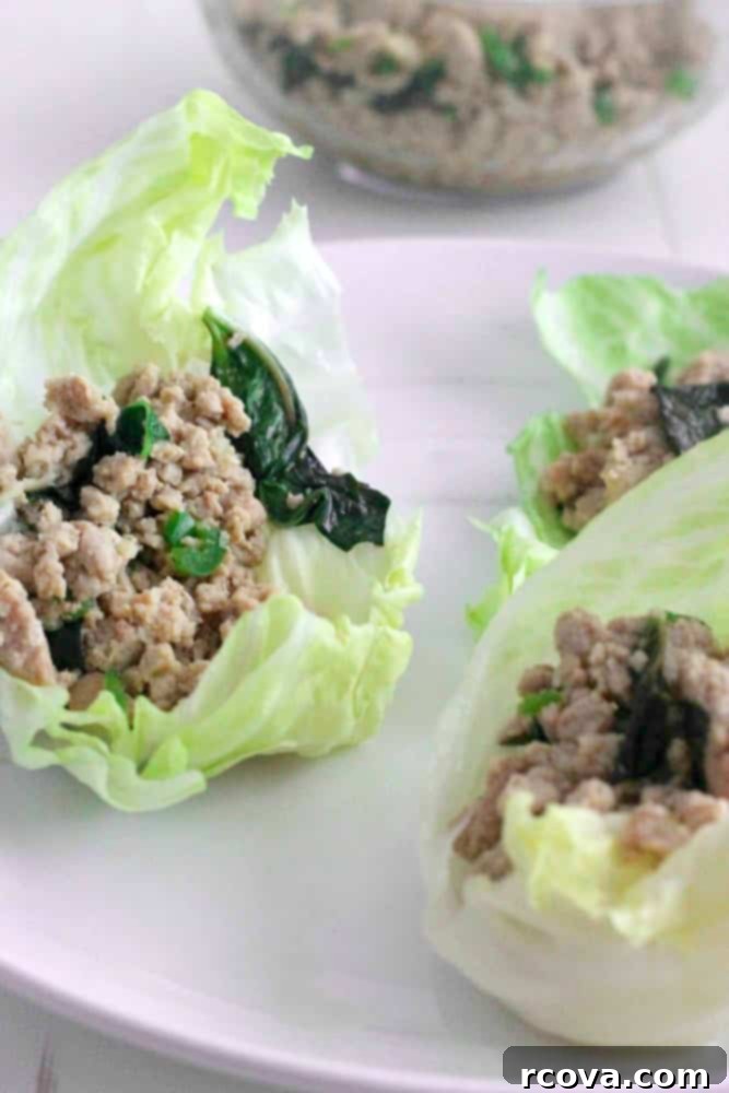 Spicy Thai Basil Chicken Lettuce Cups 1 featured 7152