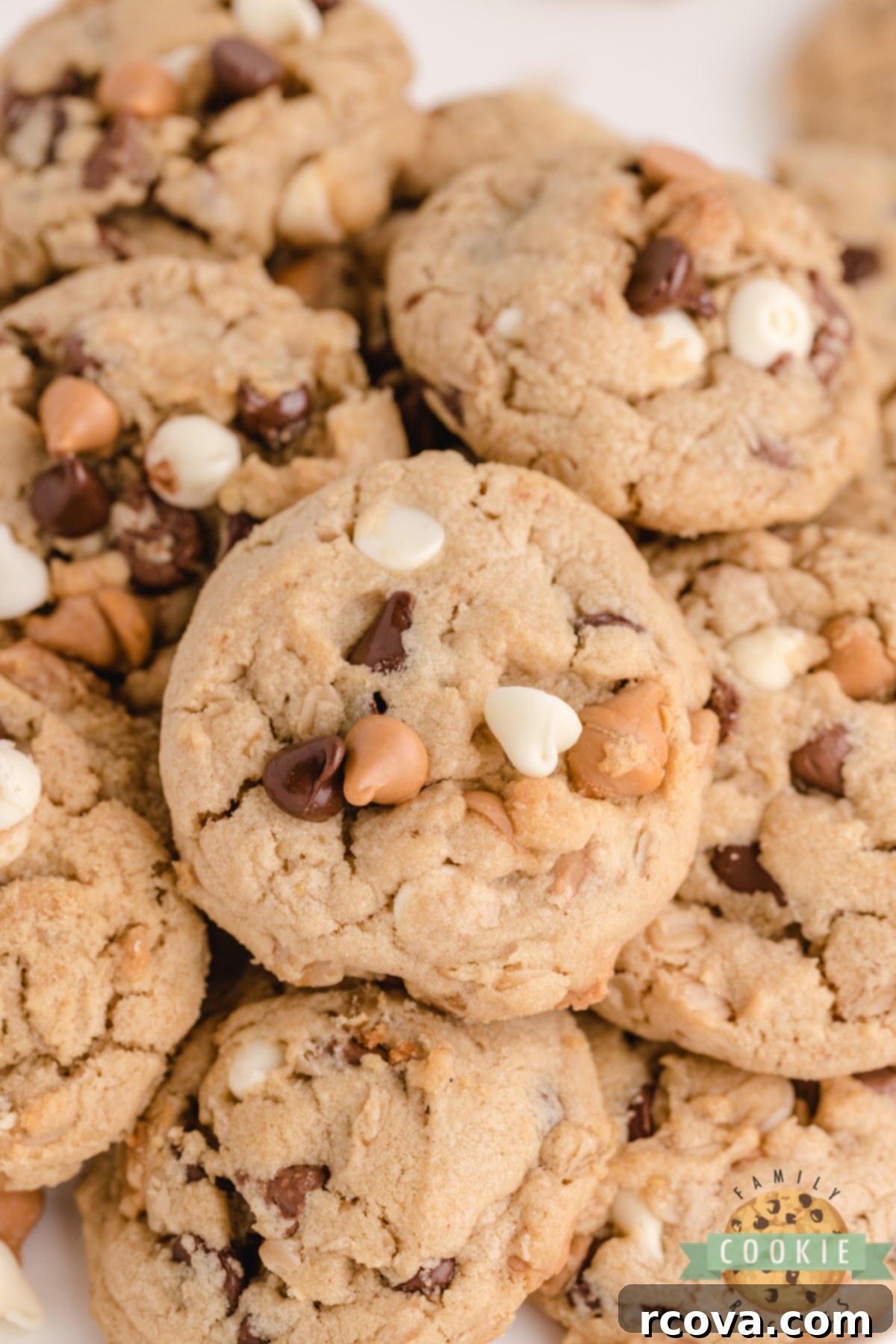 Decadent Five-Chip Peanut Butter Oatmeal Treats 1 featured 8443