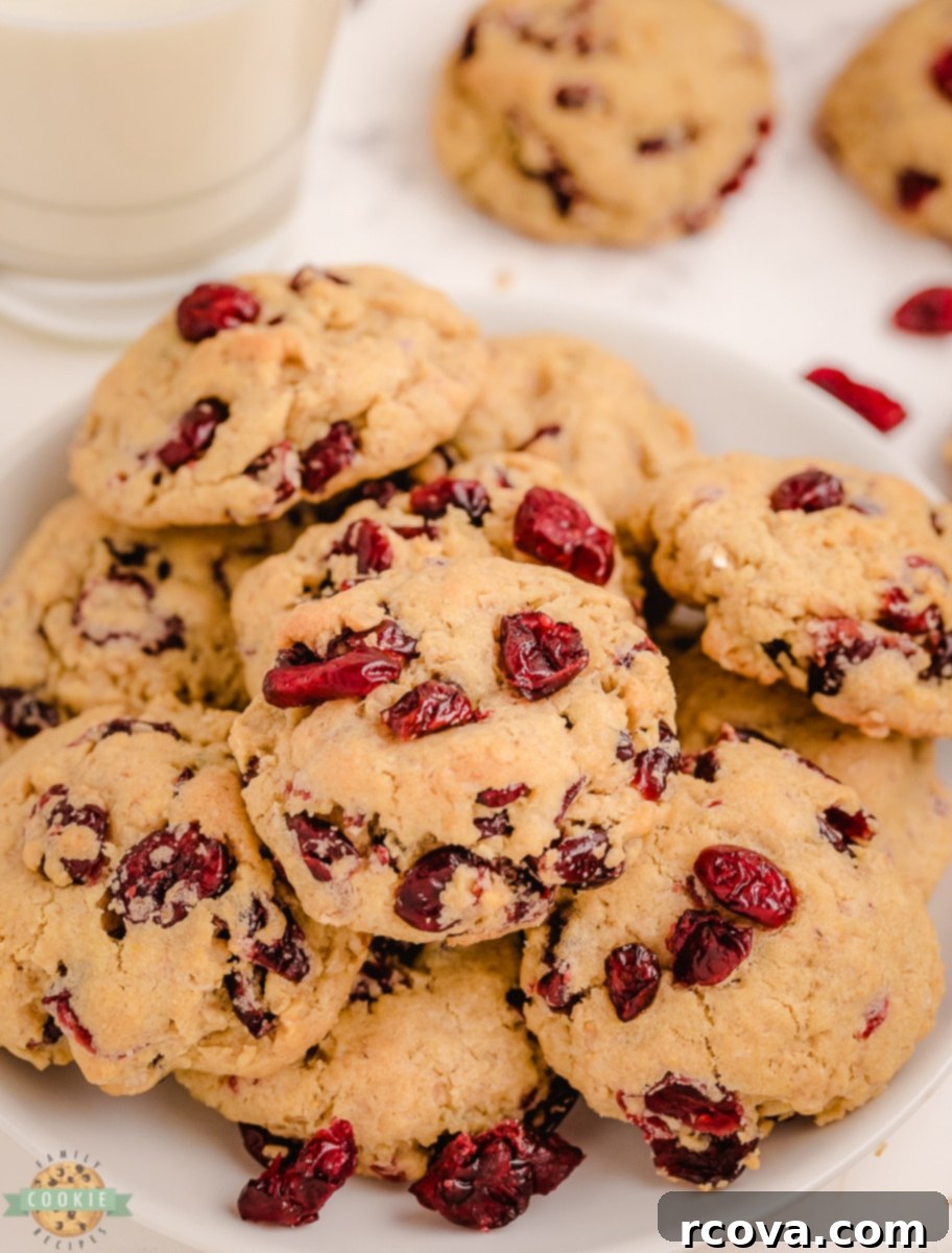 Chewy Oatmeal Craisin Delights 91 featured 8549