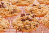 Tropical Chocolate Chip Oat Delights