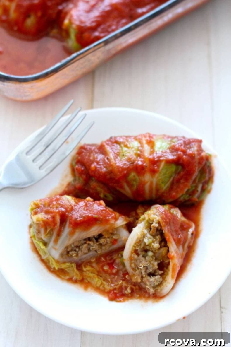 Wholesome Napa Cabbage Wraps 1 featured 8582