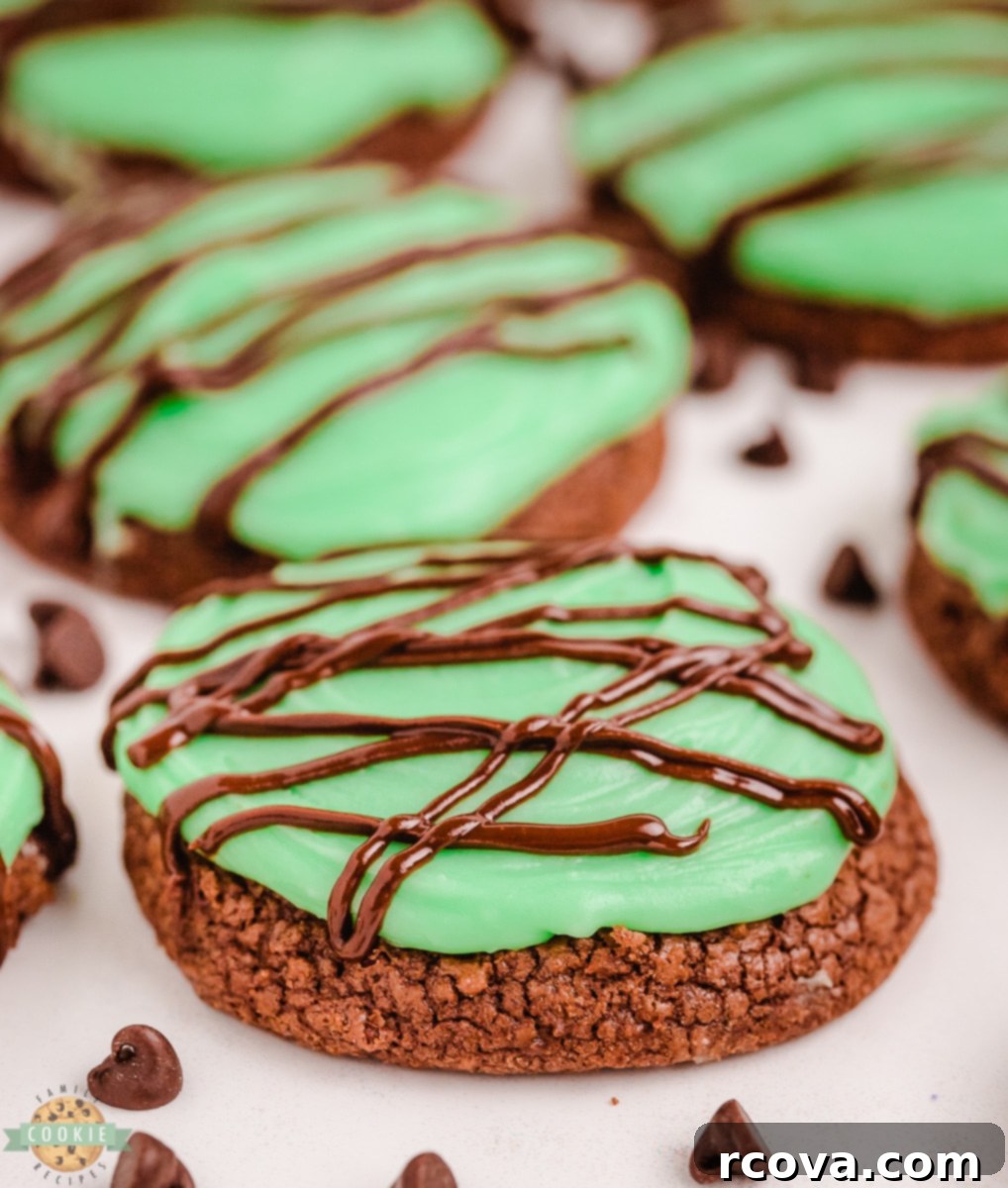 Cool Mint Double Chocolate Delights 1 featured 8700
