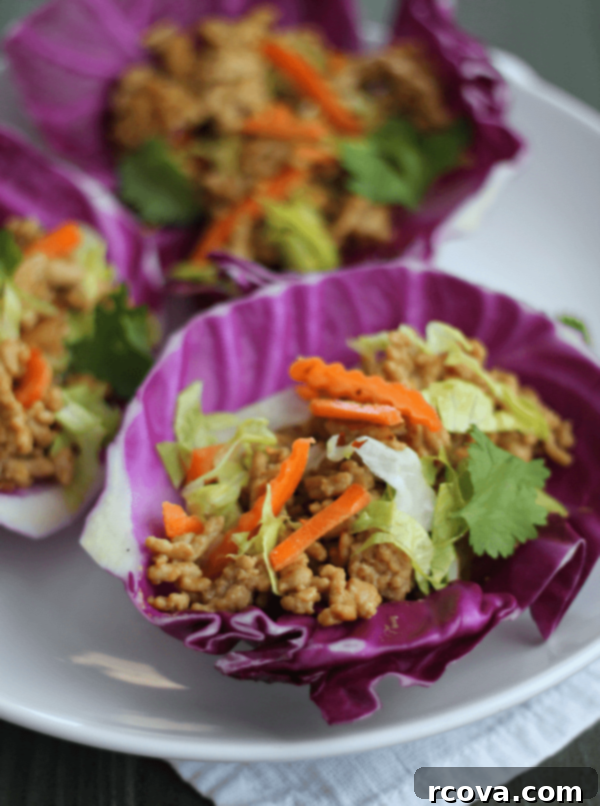 Thai Peanut Turkey Tacos 1 featured 8989