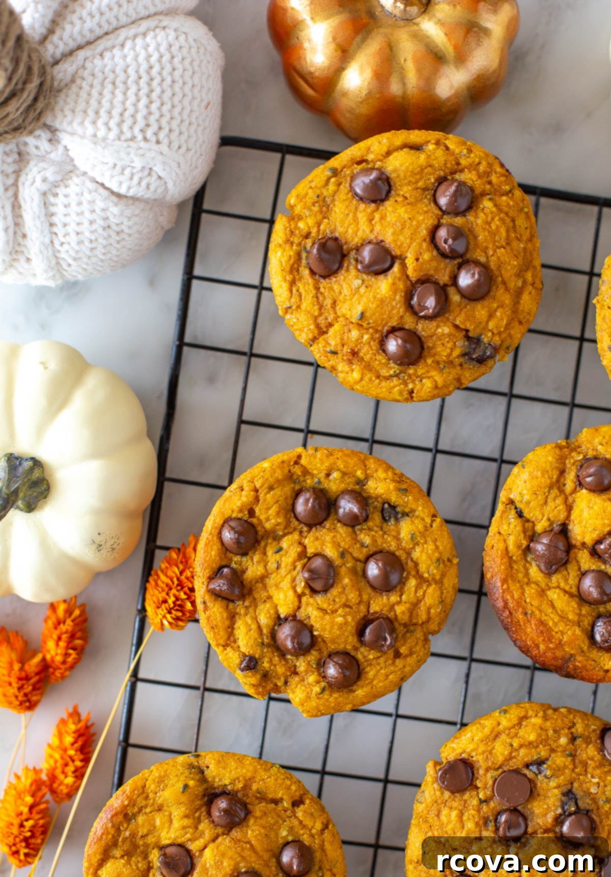 Power-Packed Chocolate Chip Pumpkin Protein Muffins 1 featured 90497
