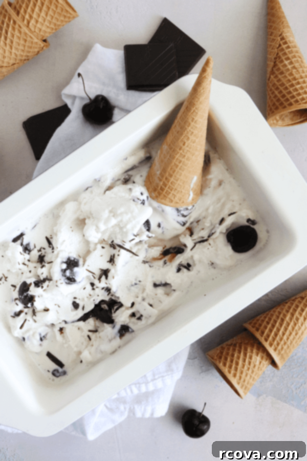 Decadent Cherry Chocolate FroYo 1 featured 9698