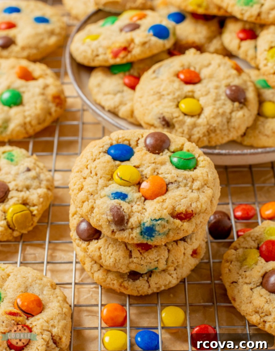 Chewy Peanut Butter Oatmeal M&M Bliss 1 featured 9736