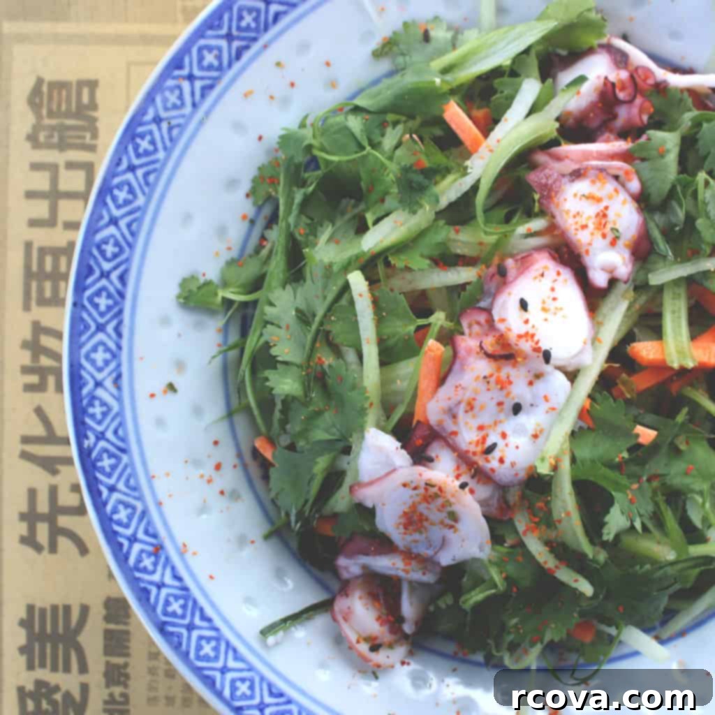 Hawkers St. Petersburg Vibrant Asian Street Food Scene 9 Hawkers Tiger Salad with fresh greens, cilantro, cucumbers, and tender octopus slices