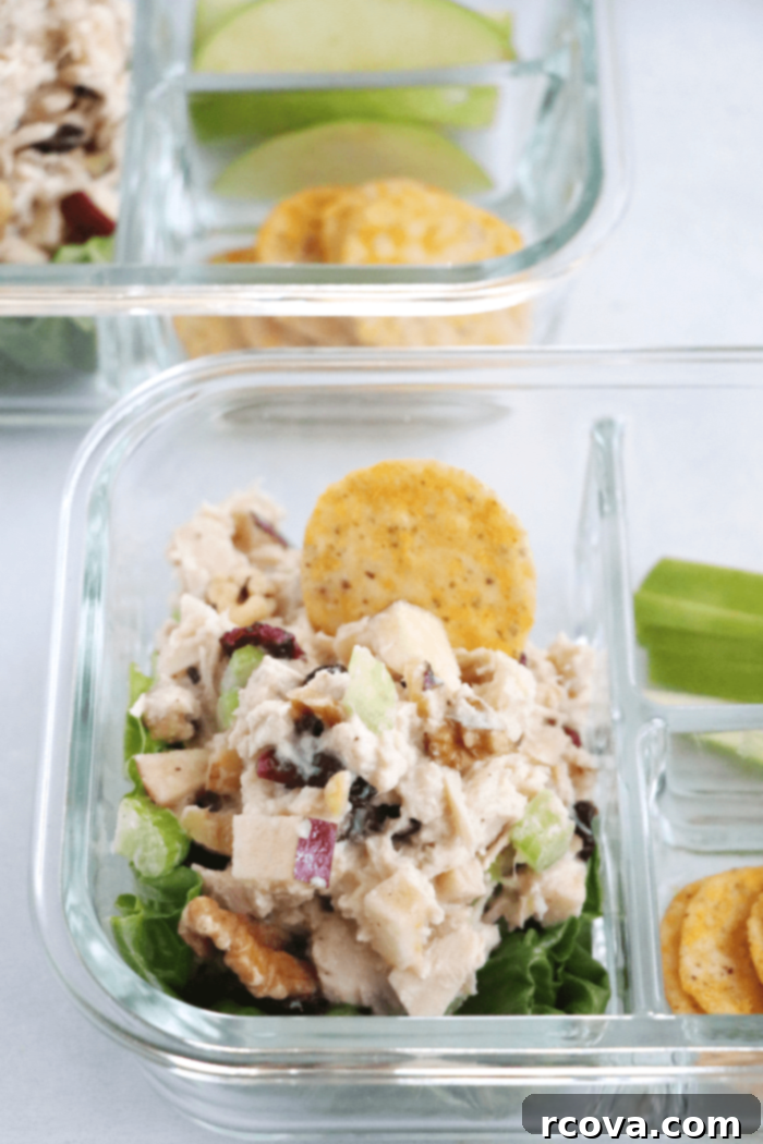 Whole30 Low Carb Harvest Tuna Salad 3 Harvest Tuna Salad on crackers