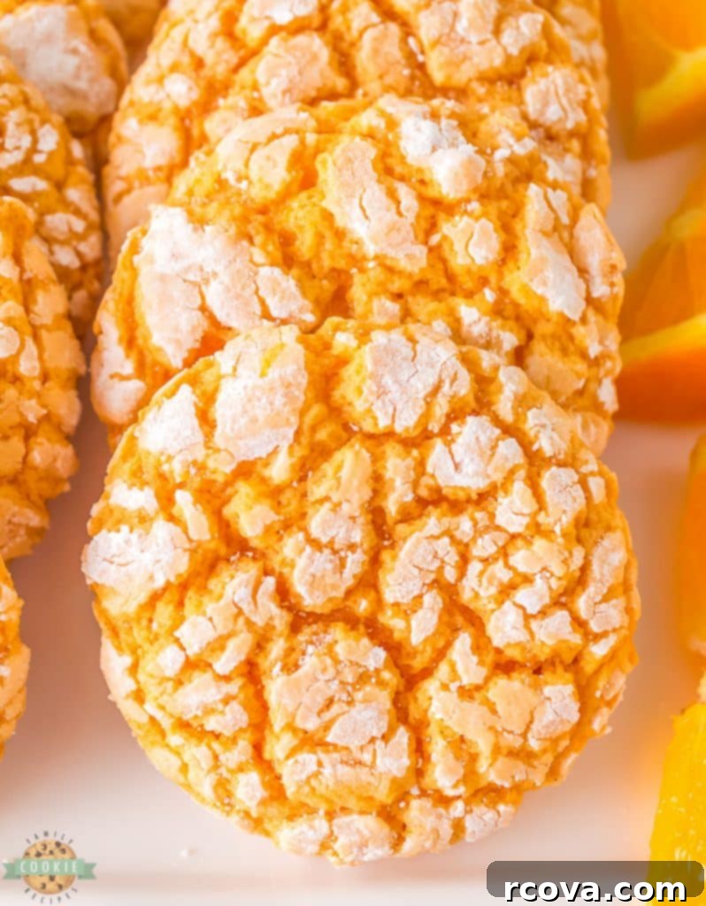 Zesty Cardamom Delights 2 orange cardamom cake mix cookies