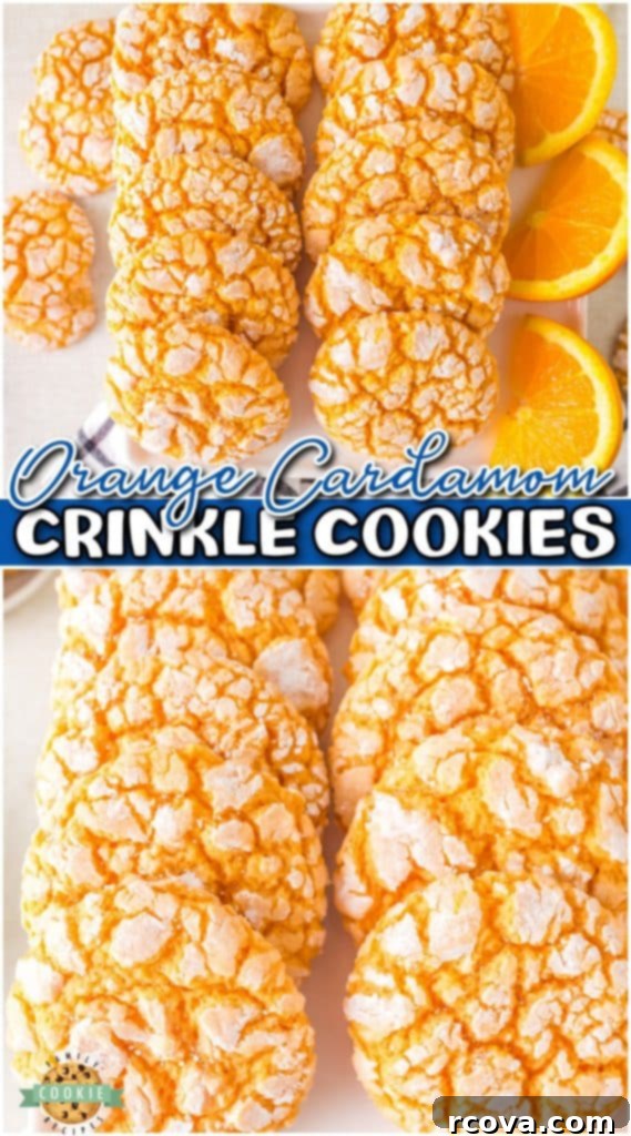 Zesty Cardamom Delights 12 Orange Cardamom Cookies are soft & chewy, packed with warm citrus flavors! This cardamom cookie is a unique and incredible dessert that's perfect for the holidays!