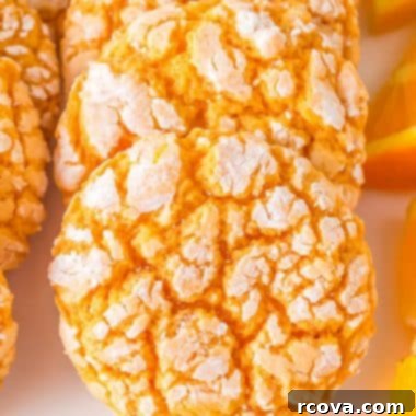 Zesty Cardamom Delights 8 orange cardamom cake mix cookies