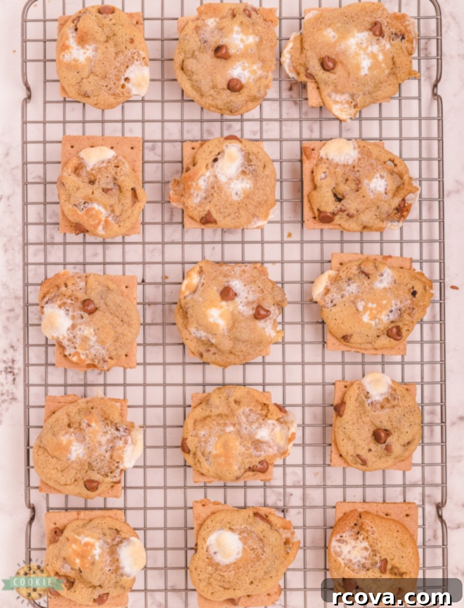 Chocolate Chip S'mores Cookies 11 Freshly baked s'mores chocolate chip cookies cooling on a wire rack after baking