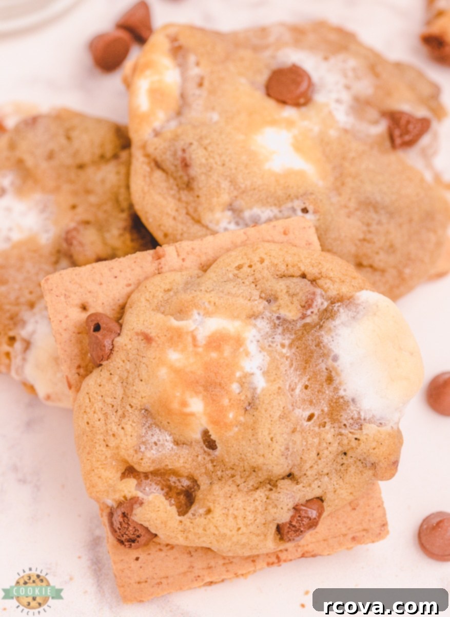 Chocolate Chip S'mores Cookies 5 Ingredients for chocolate chip s'mores cookies laid out on a baking surface