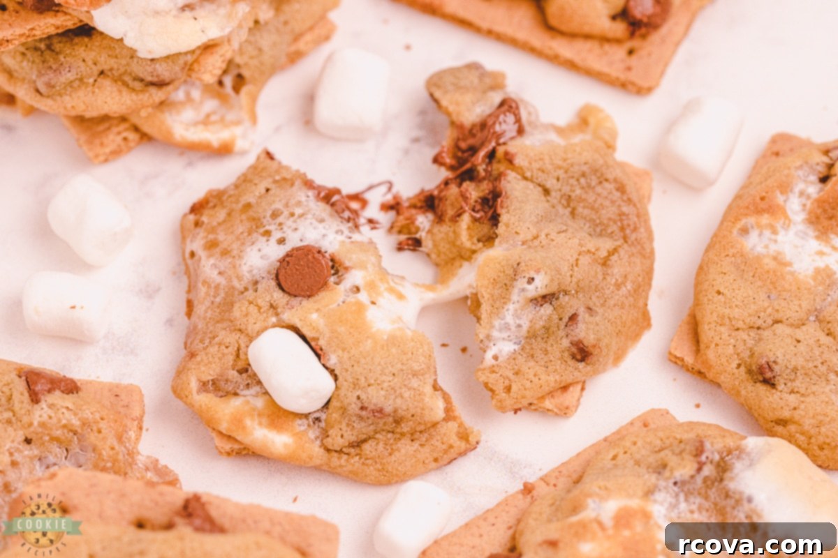 Chocolate Chip S'mores Cookies 10 Various s'mores chocolate chip cookies artfully arranged on a cooling rack