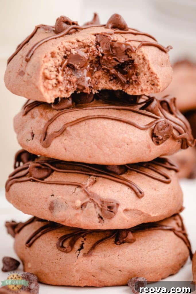 Luscious Chocolate Cheesecake Delights 2 double chocolate cheesecake cookies