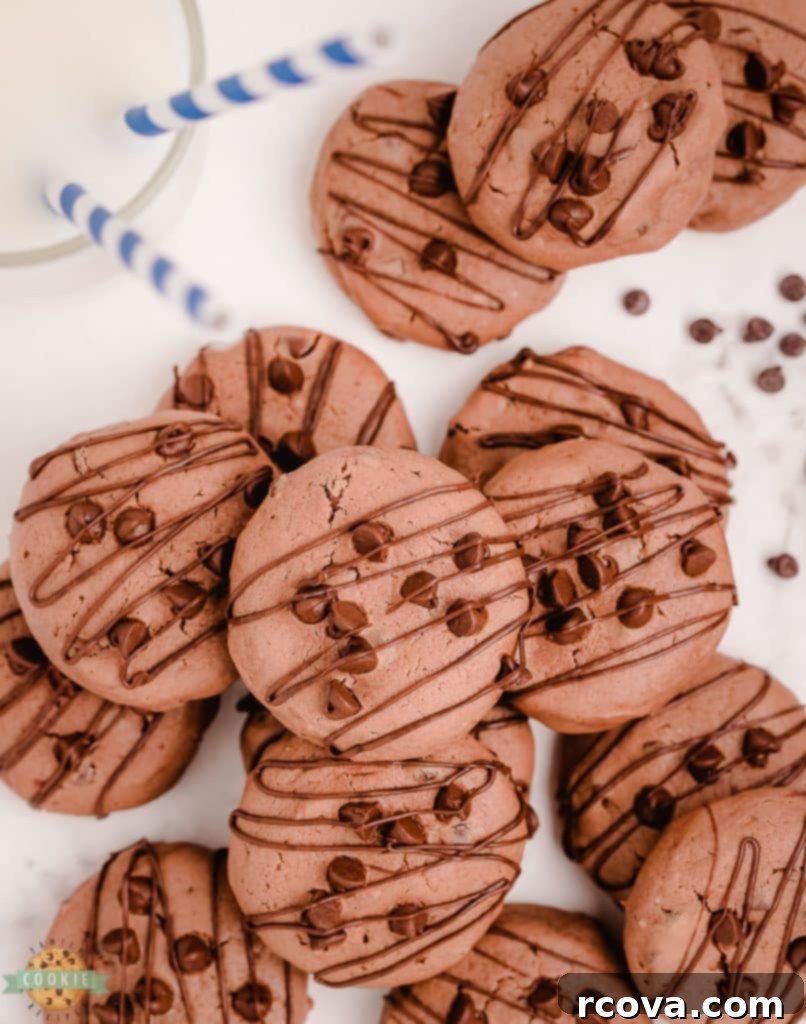 Luscious Chocolate Cheesecake Delights 4 chocolate cookies with cream cheese