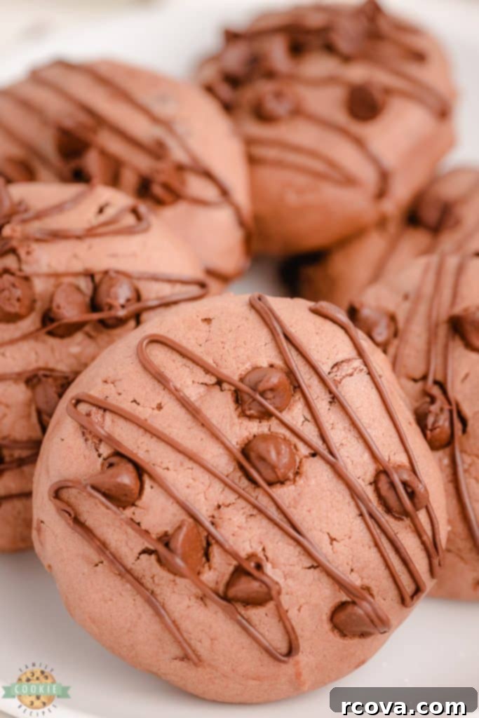 Luscious Chocolate Cheesecake Delights 5 cream cheese cookies