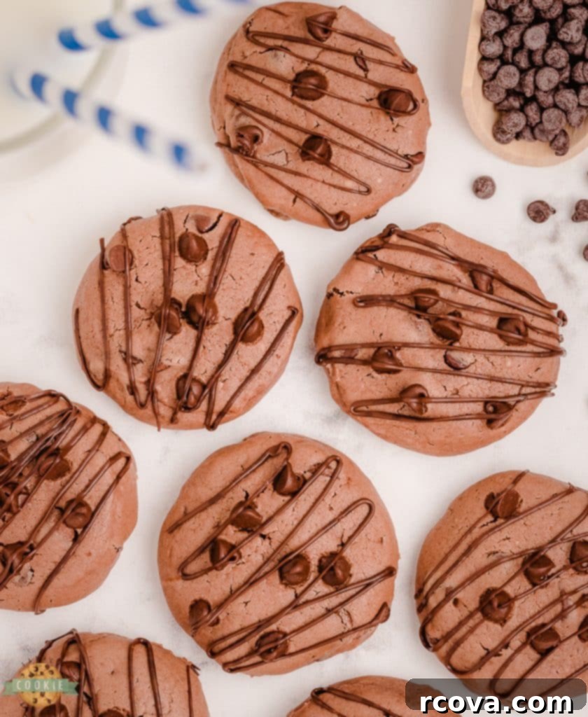 Luscious Chocolate Cheesecake Delights 6 chocolate cream cheese cookies