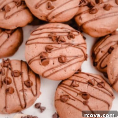 Luscious Chocolate Cheesecake Delights 8 double chocolate cheesecake cookies