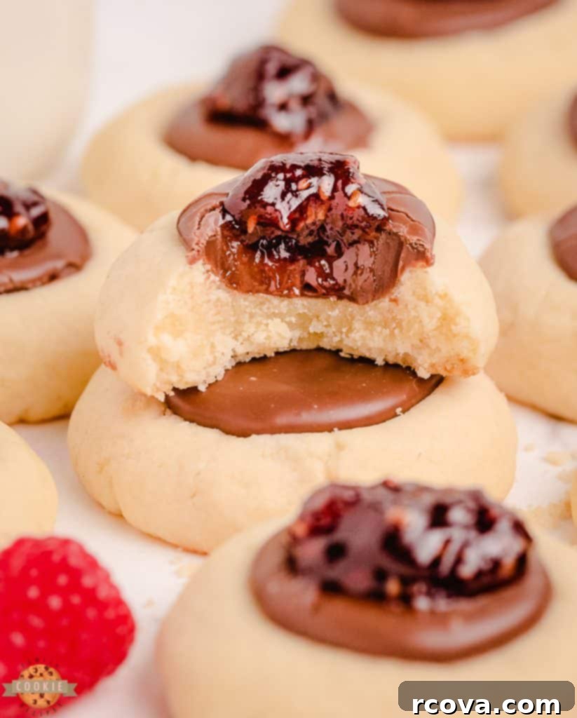 Decadent Chocolate Raspberry Thumbprints 2 chocolate raspberry thumbprints with a bite taken out