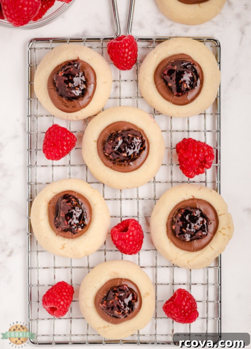 Decadent Chocolate Raspberry Thumbprints 6 raspberry thumbprint cookies on a cooling rack
