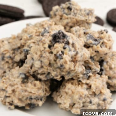 No-Bake Oreo Delights 7 Oreo No Bake Cookies