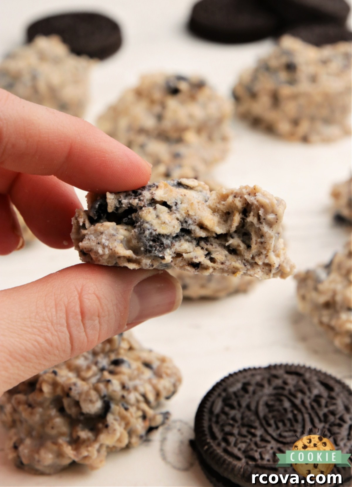 No-Bake Oreo Delights 10 Close-up of a single Oreo No Bake Cookie, showing its rich texture and delicious appeal.