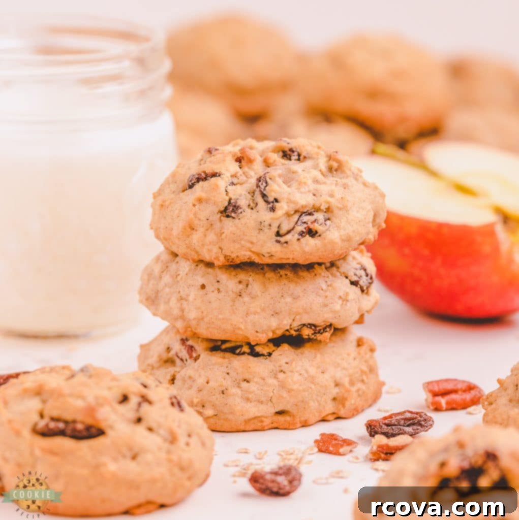 Wholesome Applesauce Oat Treats 3 make oatmeal cookies with applesauce