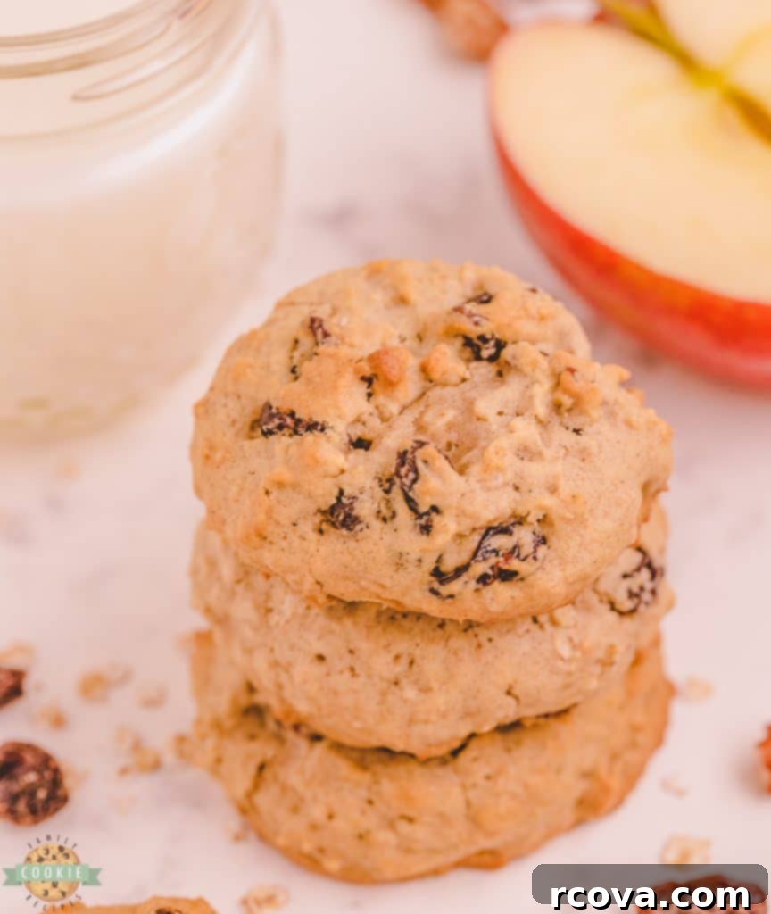 Wholesome Applesauce Oat Treats 4 raisin oatmeal cookies in a stack
