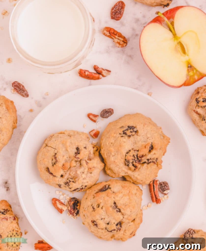 Wholesome Applesauce Oat Treats 7 applesauce oatmeal cookies on a white plate