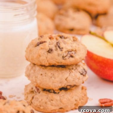 Wholesome Applesauce Oat Treats 8 raisin applesauce oatmeal cookies in a stack